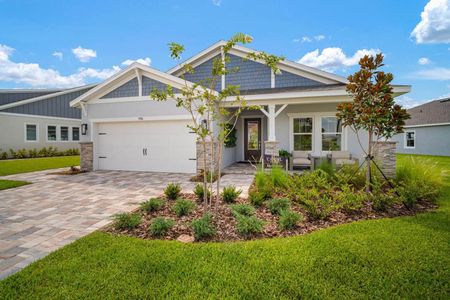 New construction Single-Family house 5366 Wolf Creek Dr, Apollo Beach, FL 33570 plan The Brighton - image