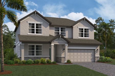 New construction Single-Family house 4969 Eagle Rock Dr, Wimauma, FL 33598 null- photo 11 11