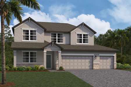 New construction Single-Family house 31979 Sapna Chime Dr, Wesley Chapel, FL 33543 null- photo 9 9