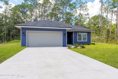 New construction Single-Family house 2218 Mallow Court, Middleburg, FL 32068 - photo 0