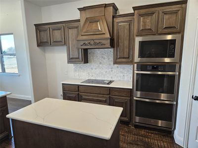 New construction Single-Family house 385 Willie'S Ct, Whitesboro, TX 76273 - image 4
