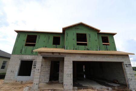 New construction Single-Family house 12219 Hilltop Farms Dr, Dade City, FL 33525 Malibu- photo 12 12