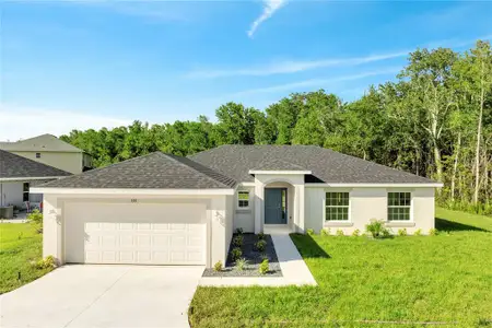New construction Single-Family house 539 Viceroy Ct, Kissimmee, FL 34758 - image