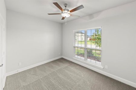 New construction Single-Family house 461 Marsh Dr, Lavon, TX 75166 - image 16