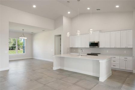 New construction Single-Family house 839 Waterfern Trail Dr, Auburndale, FL 33823 null- photo 10 10