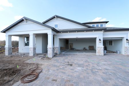 New construction Single-Family house 5867 Riverston Ave, Wesley Chapel, FL 33545 Corina  III Bonus- photo 96 96