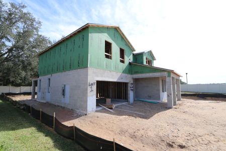 New construction Single-Family house 11984 Hilltop Farms Dr, Dade City, FL 33525 Casanova- photo 27 27