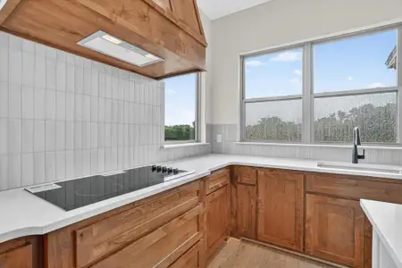 New construction Single-Family house 225 Kilkenny Rd, Poolville, TX 76487 - image 7