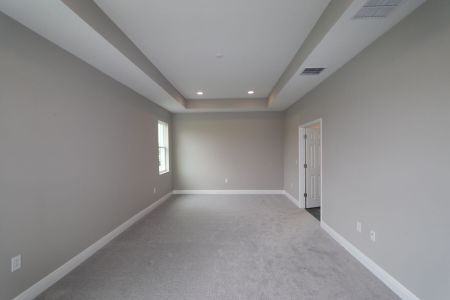 New construction Single-Family house 31229 Denham Ridge Ln, Wesley Chapel, FL 33545 Newport II- photo 59 59