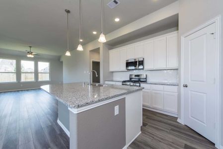 New construction Single-Family house 204 N Eagle Point Rd, Van Alstyne, TX 75495 null- photo 8 8