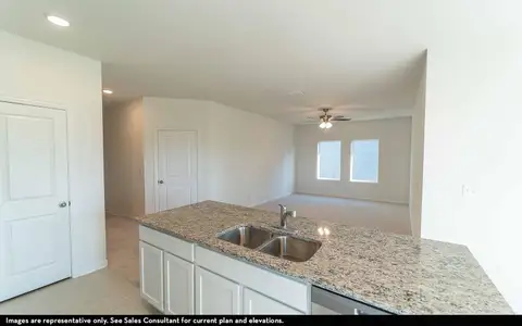 New construction Single-Family house 716 Barbary Coast Ln, Jarrell, TX 76537 plan Elm - image 3