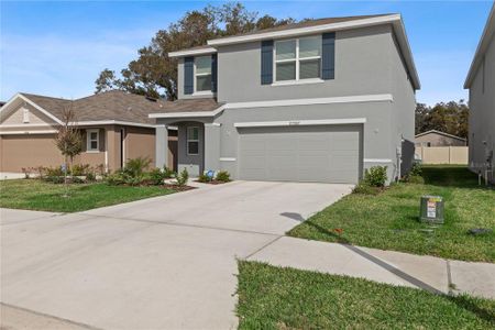 New construction Single-Family house 37357 Sharks Eye Ln, Zephyrhills, FL 33541 Darwin (G)- photo 3 3