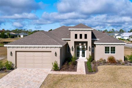 New construction Single-Family house 9065 Mississippi Run, Weeki Wachee, FL 34613 - image