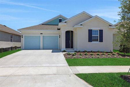 New construction Single-Family house 5023 Firebush Dr, Apopka, FL 32712 - image