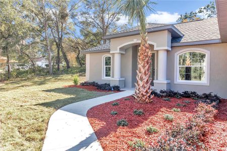 New construction Single-Family house 19610 Sw 93Rd Pl, Dunnellon, FL 34432 null- photo 5 5