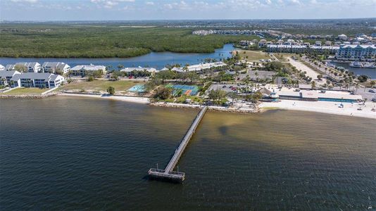 New construction Single-Family house 2630 Yellow Sundial Loop, Ruskin, FL 33570 null- photo 59 59