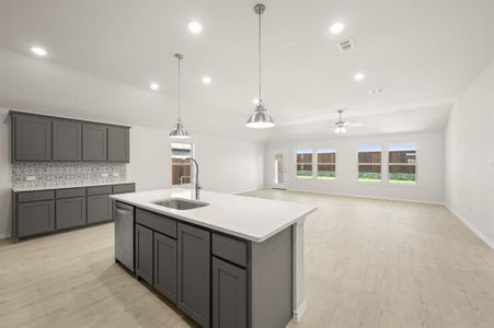 New construction Single-Family house 724 Scarlet Sage Dr, Waxahachie, TX 75165 plan Lincoln - image 9