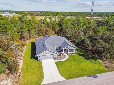 New construction Single-Family house 16 Nemesia Ct E, Homosassa, FL 34446 - image