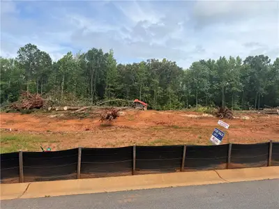 New construction Single-Family house 1 Wisteria Ln, Williamson, GA 30292 - image