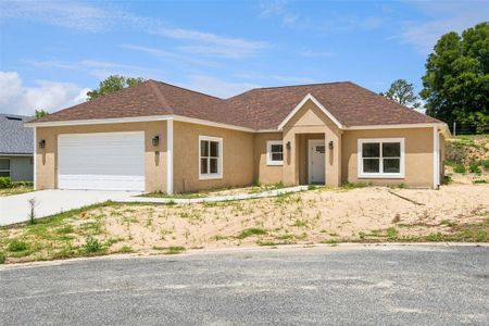 New construction Single-Family house 95 Fairway Cir, Umatilla, FL 32784 - image