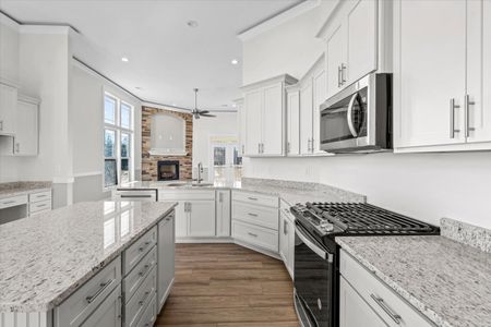 New construction Single-Family house 240 Hart Cut Rd, Slater-Marietta, SC 29661 plan Caterina Elite - image 9