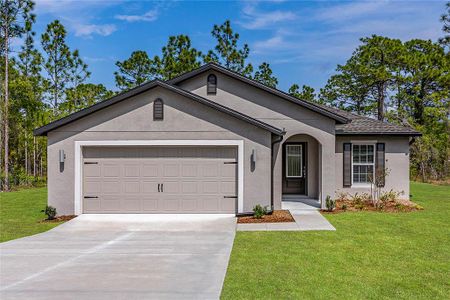 New construction Single-Family house 11219 Liberto Road, Weeki Wachee, FL 34614 - photo 0