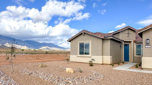 New construction Single-Family house 7095 E Presidio Ln, Unit Lot 196, Hereford, AZ 85615 - image