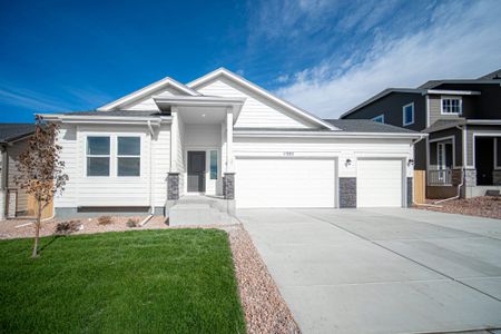 New construction Single-Family house 610 White Dove Ct, Monument, CO 80132 plan The Jackson - image