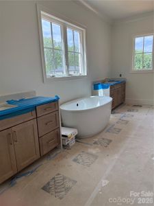 New construction Single-Family house 608 Deodar Cedar Dr, Matthews, NC 28104 - image