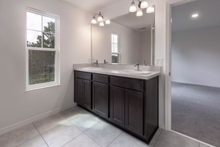 New construction Single-Family house 185 Glass Onion Dr, Groveland, FL 34737 plan Douglas - image 9