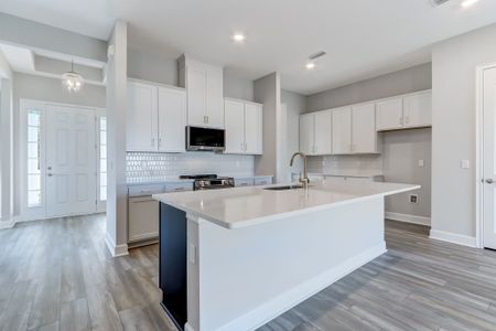 New construction Single-Family house 14224 Lons Pl, Jacksonville, FL 32226 plan Carrollview - image 4