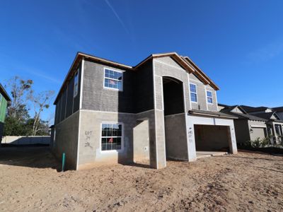 New construction Single-Family house 12134 Hilltop Farms Dr, Dade City, FL 33525 Malibu- photo 73 73