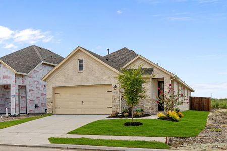 New construction Single-Family house 936 Pebble Wend Dr., Lavon, TX 75166 Chisholm- photo 0