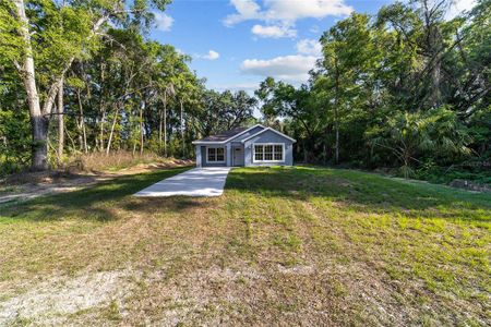 New construction Single-Family house 4275 Se 130 Pl, Belleview, FL 34420 - image