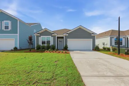 New construction Single-Family house 3920 Aberfeldy Ln, Ravenel, SC 29470 - image