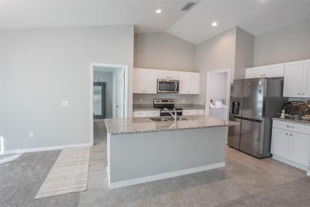 New construction Single-Family house 1482 Ne 160Th Pl, Citra, FL 32113 null- photo 34 34