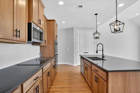 New construction Single-Family house 174 Classic Overlook, Homer, GA 30547 - image 4