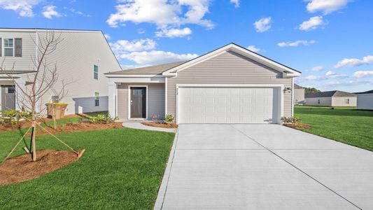 New construction Single-Family house 87 Pollen Dr, Ridgeland, SC 29936 plan Downing - image