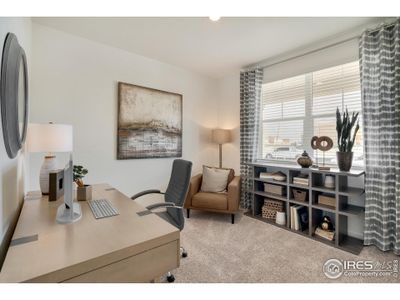 New construction Single-Family house 5828 Tulim Ln, Windsor, CO 80528 plan CHATHAM - image