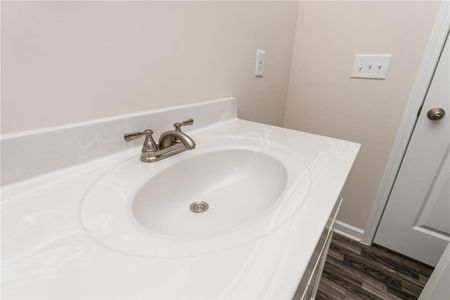 New construction Single-Family house 179 Hydrangea Ct, Dallas, GA 30132 Augusta- photo 13 13