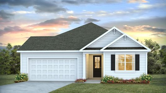 New construction Single-Family house 265 Lake Tide Dr, Chapin, SC 29036 plan Litchfield - image