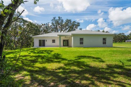 New construction Single-Family house 279 W Pearson St, Hernando, FL 34442 - image 17