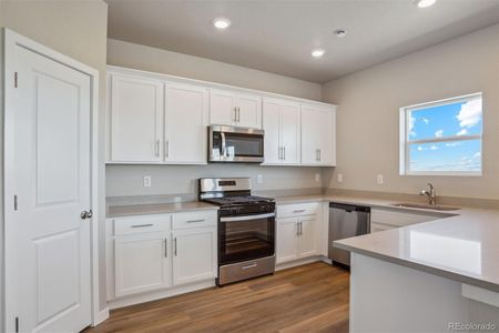 New construction Single-Family house 48260 Shetland Dr, Bennett, CO 80102 - image