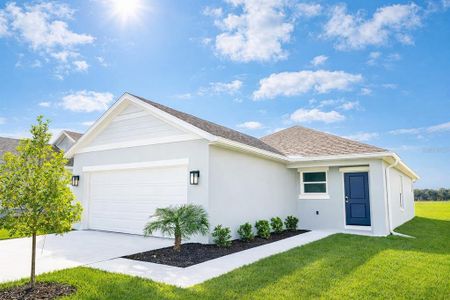 New construction Single-Family house 13131 Sassafras Trl, Parrish, FL 34219 plan Cypress - image