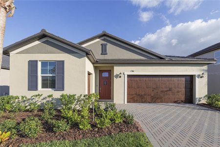 New construction Single-Family house 11380 Flora Crew Court, Land O' Lakes, FL 34638 Dawning II- photo 0