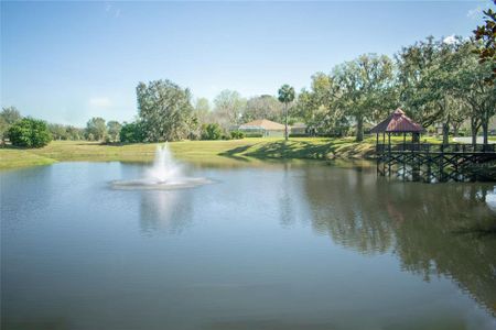 New construction Single-Family house 3420 Sw 10Th Ct, Ocala, FL 34471 null- photo 18 18