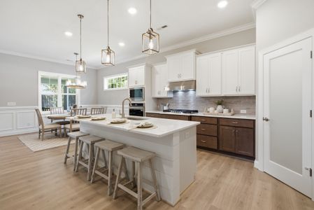 New construction Single-Family house 1205 Rockhill Rd, Castle Hayne, NC 28429 - image 13