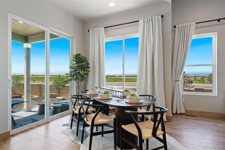 New construction Single-Family house 3661 N Buchanan Ct, Aurora, CO 80019 plan Hudson - image 10