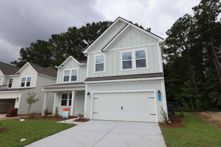 New construction Single-Family house 1059 Boyington Dr, Unit 59, Hollywood, SC 29449 - image
