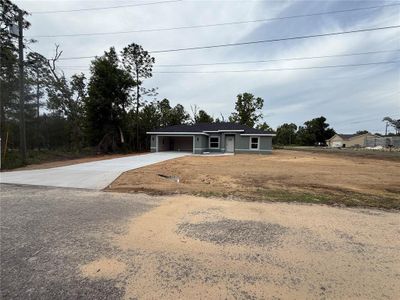 New construction Single-Family house 3 Guava Place Dr, Ocklawaha, FL 32179 - image
